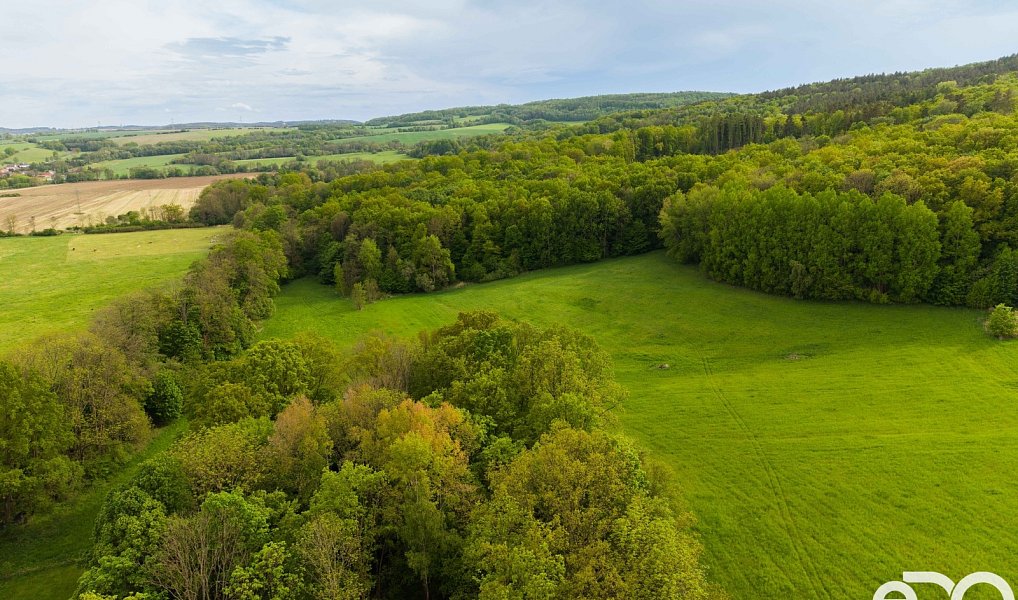 Prodej domu 500 m² s pozemkem 110 036 m², Kravaře – náhled fotky 7