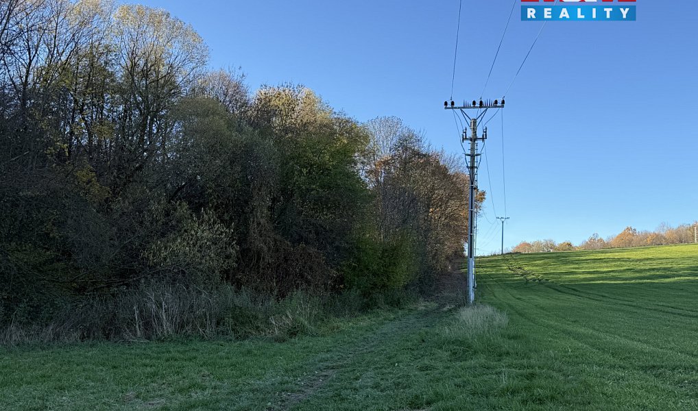 Prodej lesa 1 901 m², Velká Polom – náhled fotky 6