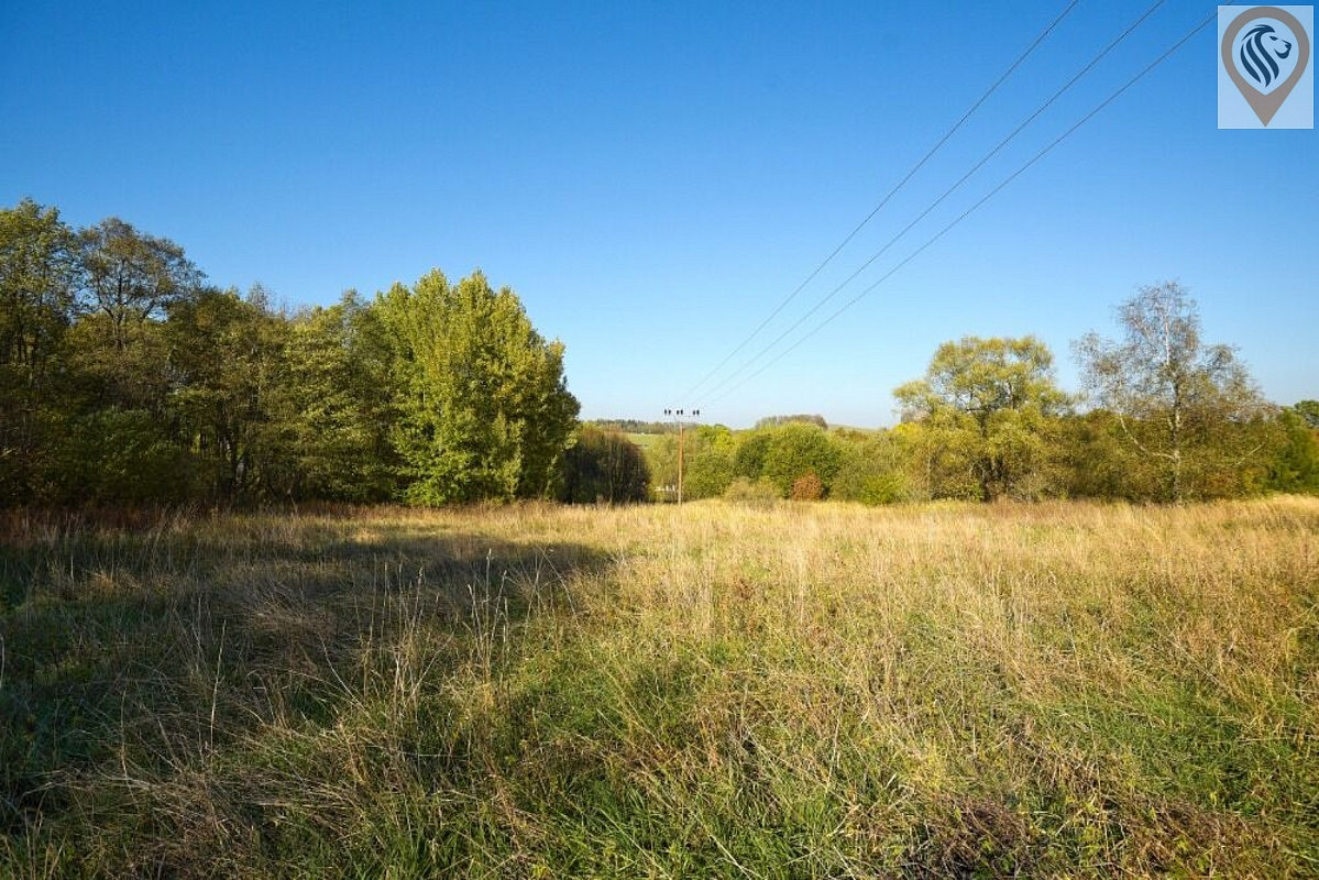Prodej stavebního pozemku 12 886 m² — photo 4