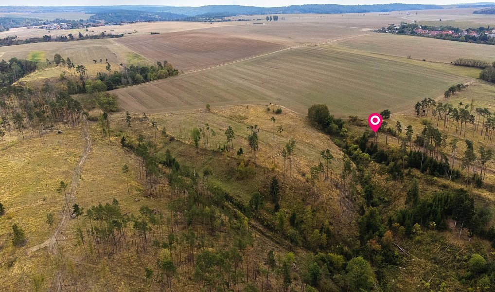 Prodej lesa 15 246 m², Vladislav – náhled fotky 9