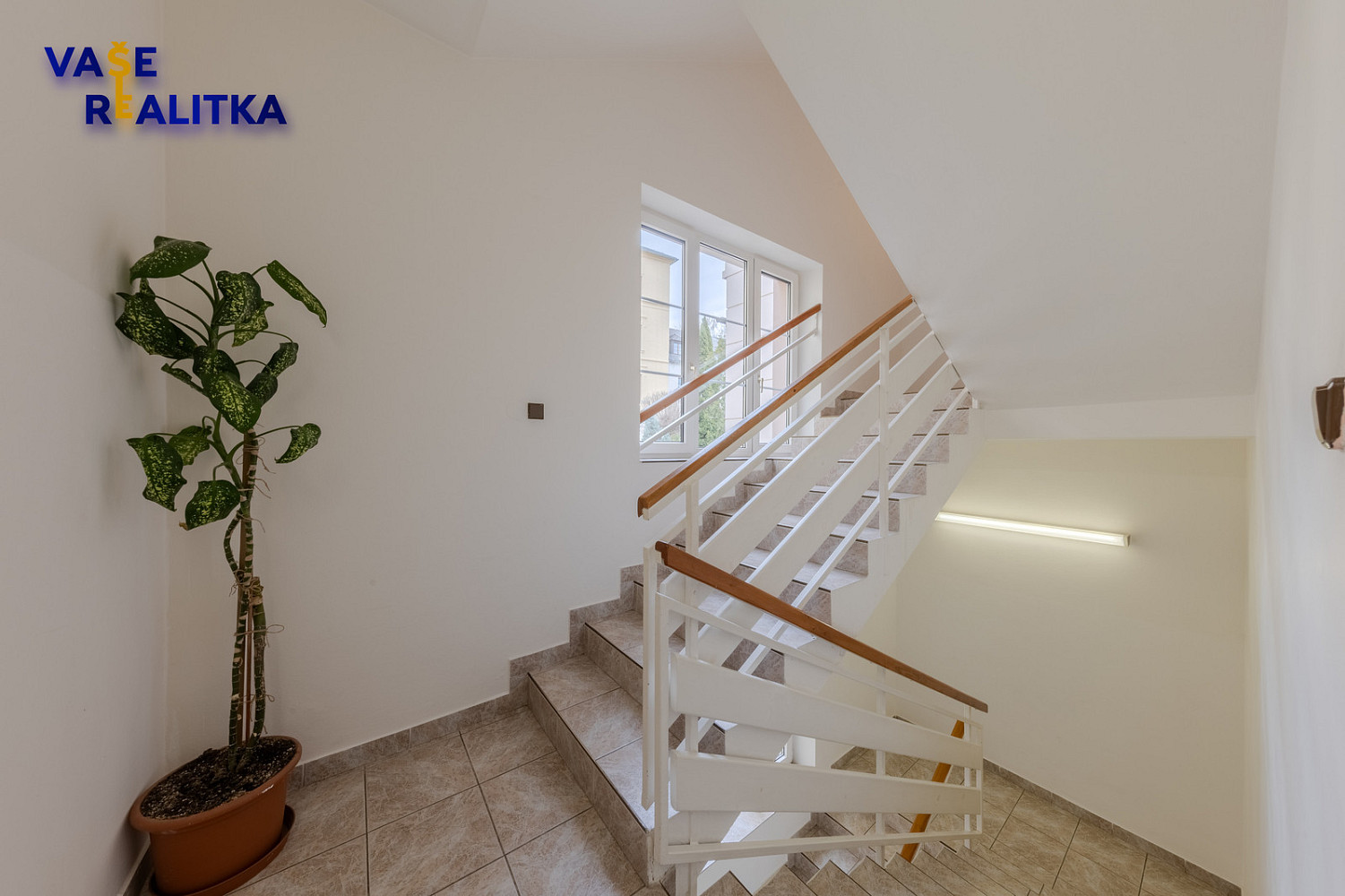Fotka 25 z 26