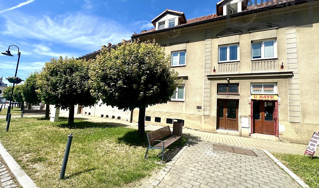 Pronájem bytu 2+1 57 m², Bor – náhled fotky 6