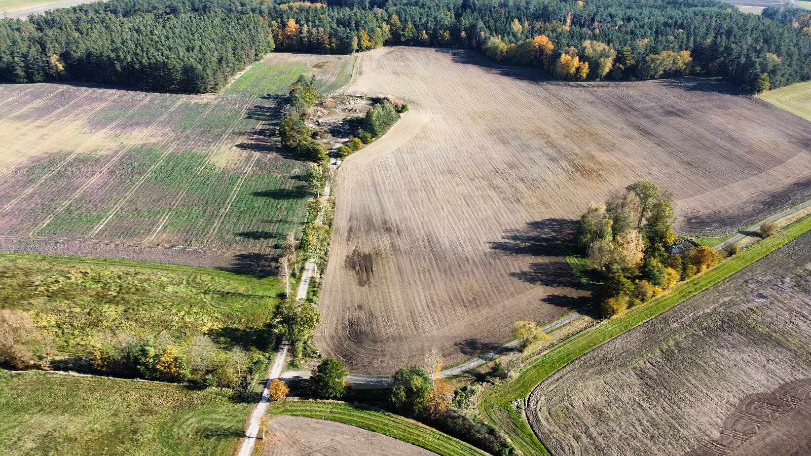 Prodej pole 49 992 m²