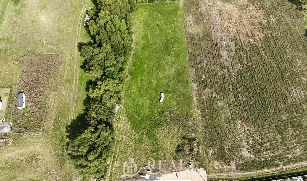 Prodej stavebního pozemku 995 m², Cítoliby – náhled fotky 5