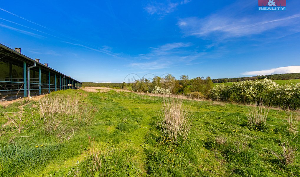Prodej zemědělského objektu 4 026 m², Černovice – náhled fotky 6