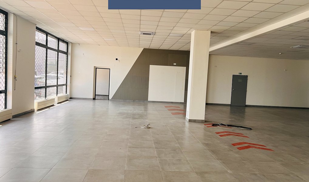 Pronájem obchodních prostor 1 290 m², Průhonice – náhled fotky 16