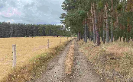 Prodej pozemku 1 744 m², Kladruby - Tuněchody, okres Tachov