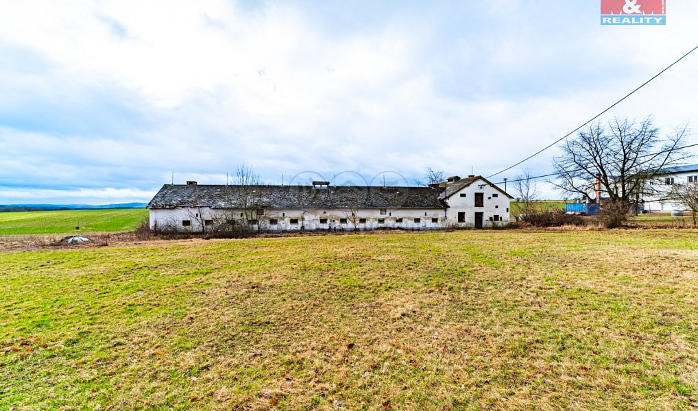 Prodej domu 600 m² s pozemkem 3 000 m², Puclice – náhled fotky 3
