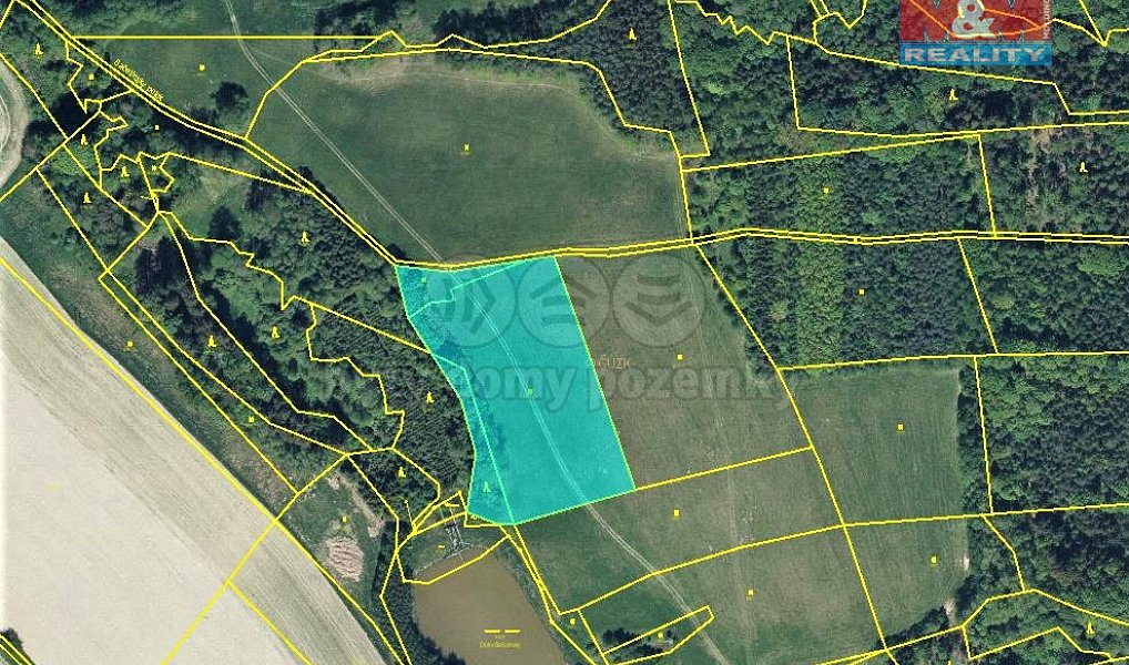 Prodej louky 1 365 m², Bačetín – náhled fotky 3