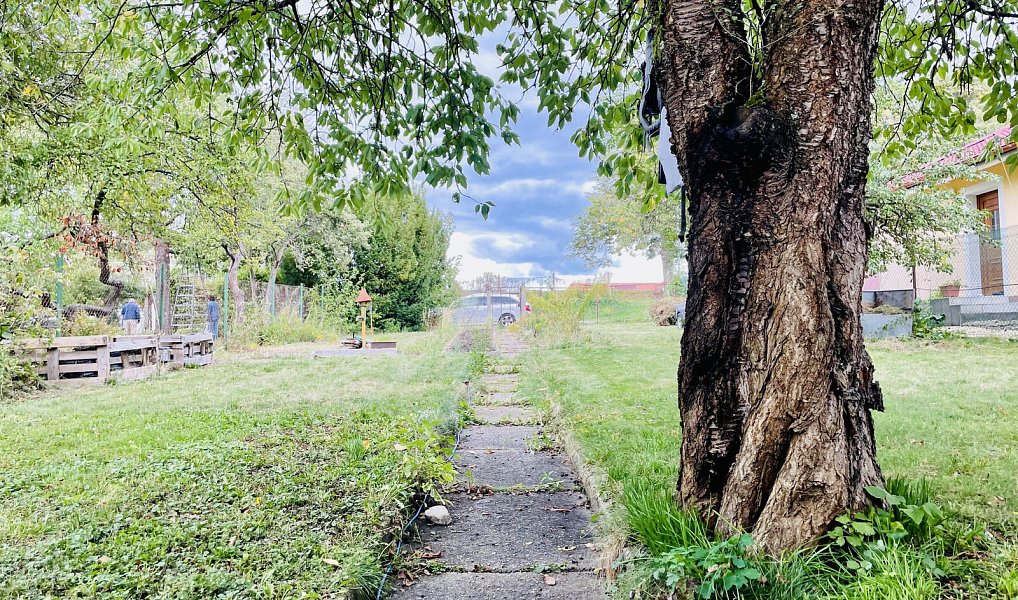 Pronájem zahrady 461 m², České Budějovice – náhled fotky 12