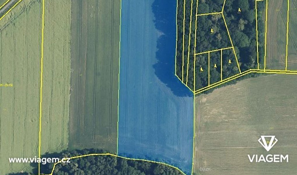 Prodej pole 3 817 m², Kladníky – náhled fotky 3