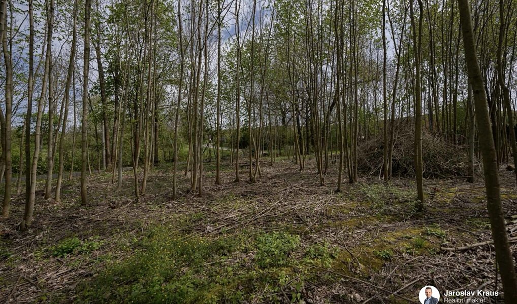 Prodej stavebního pozemku 1 336 m², Vrbice – náhled fotky 3