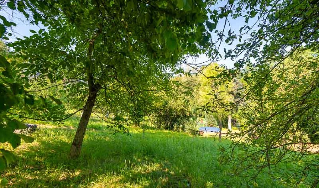 Prodej zahrady 787 m², Luhačovice – náhled fotky 7