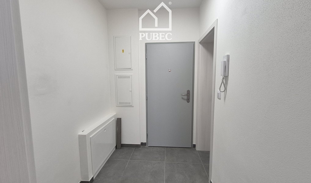 Pronájem bytu 1+kk 32 m², Plzeň – náhled fotky 8