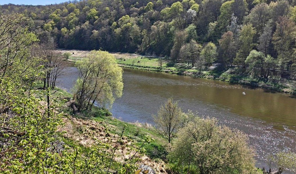 Prodej zahrady 5 059 m², Nižbor – náhled fotky 3