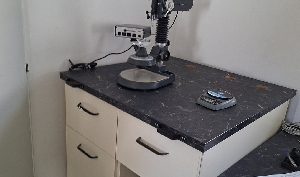 Pronájem obchodních prostor 31 m², Havlíčkův Brod – náhled fotky 4