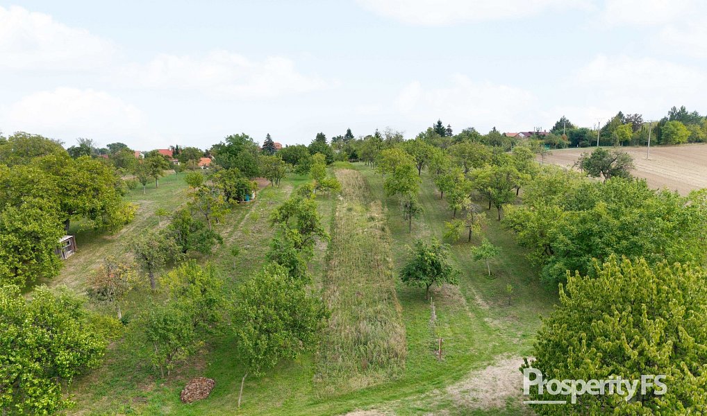 Prodej zahrady 832 m², Prace – náhled fotky 7