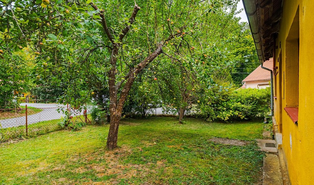Prodej domu 142 m² s pozemkem 522 m², Svojanov – náhled fotky 6
