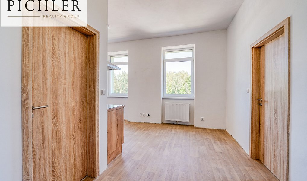 Pronájem bytu 2+kk 54 m², Horní Bříza – náhled fotky 5