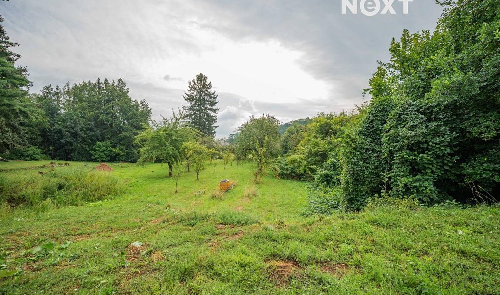 Prodej stavebního pozemku 3 456 m², Loštice – náhled fotky 8