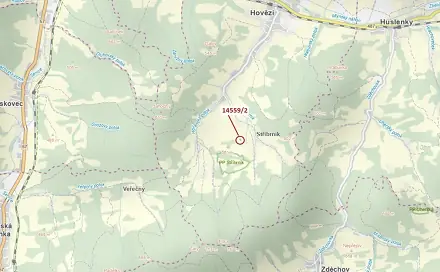 Dražba lesa 605 m², Hovězí