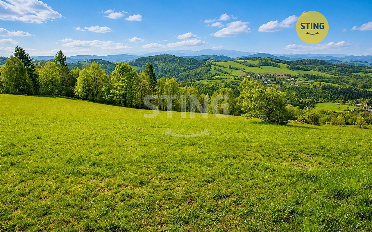 Prodej lesa 18 548 m²