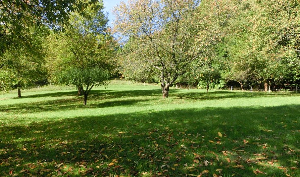 Prodej domu 175 m² s pozemkem 9 863 m², Vojkovice – náhled fotky 7