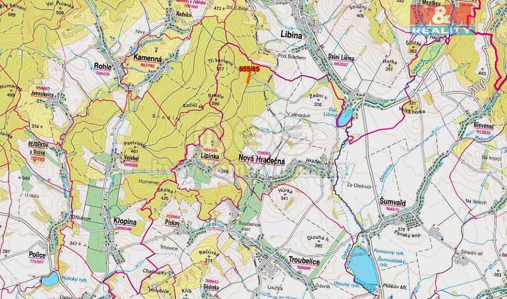 Prodej lesa 6 647 m², Nová Hradečná – náhled fotky 7