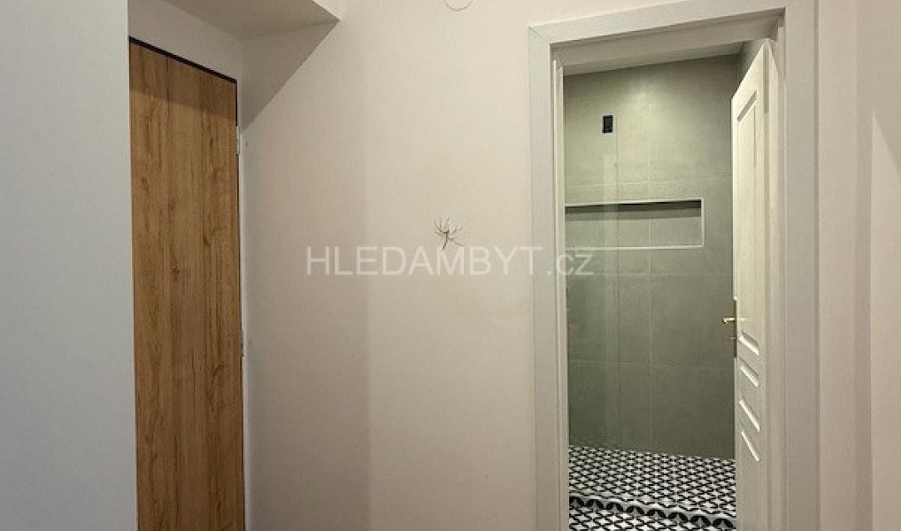 Pronájem bytu 2+kk 55 m², Praha – náhled fotky 13