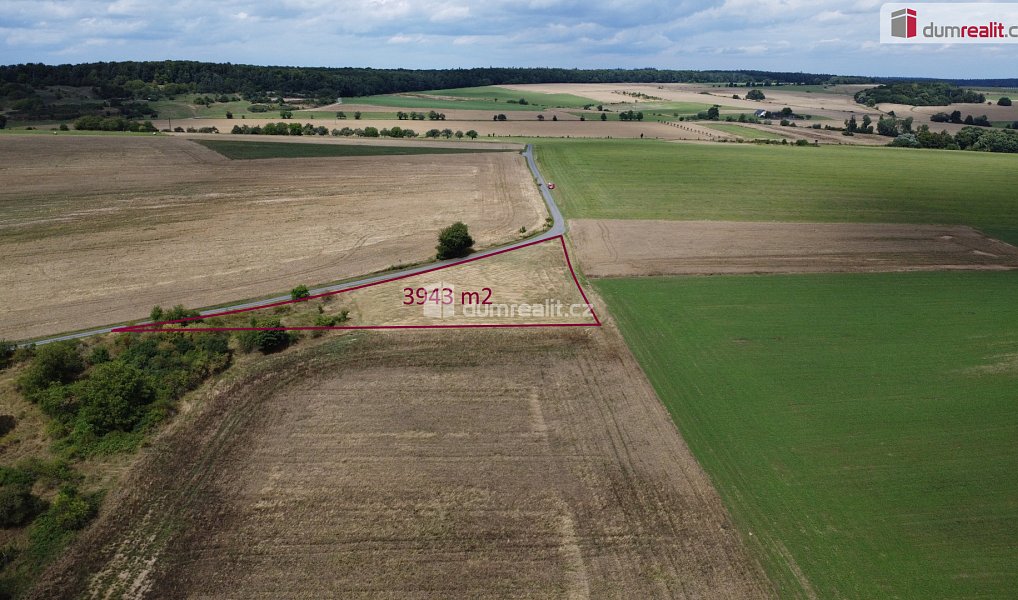 Prodej pozemku 3 943 m², Sýkořice – náhled fotky 4