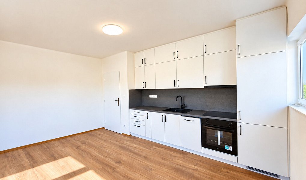Prodej domu 500 m² s pozemkem 1 139 m², Nečín – náhled fotky 6