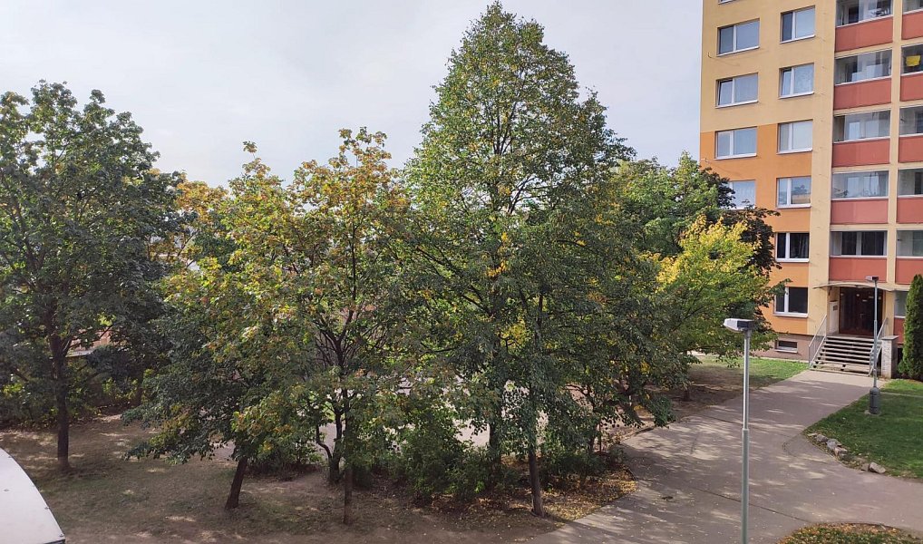 Prodej bytu 3+kk 68 m², Praha – náhled fotky 17