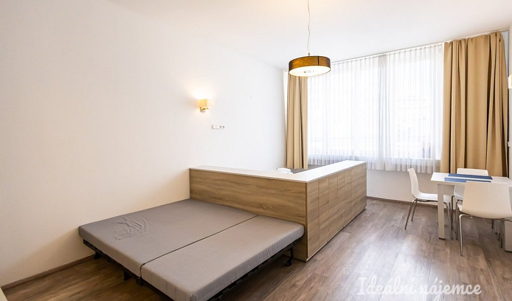 Pronájem bytu 1+kk 38 m², Praha – náhled fotky 8