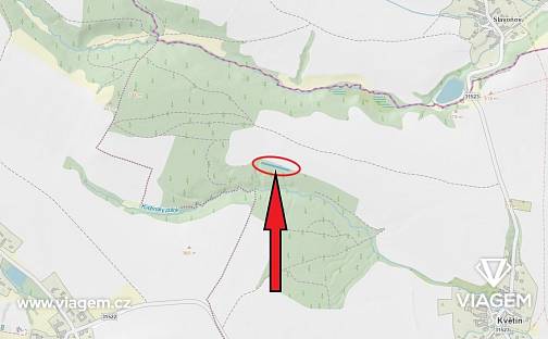 Prodej lesa 238 m², Mohelnice, okres Šumperk
