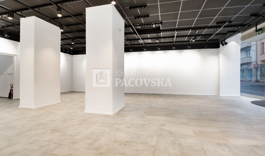 Pronájem obchodních prostor 210 m², Ústí nad Labem – náhled fotky 6