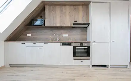 Pronájem bytu 1+kk 40 m²