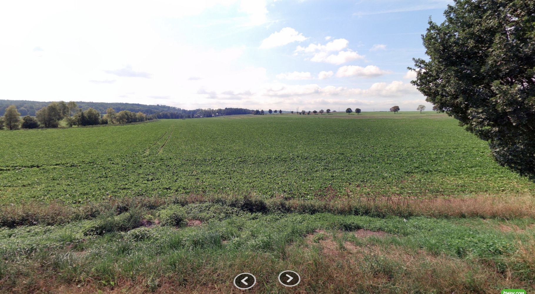 Prodej pole 98 912 m² – pohled 3