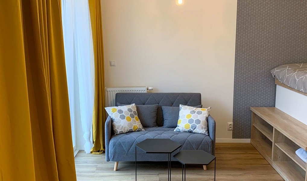Pronájem bytu 1+kk 36 m², Brno – náhled fotky 4