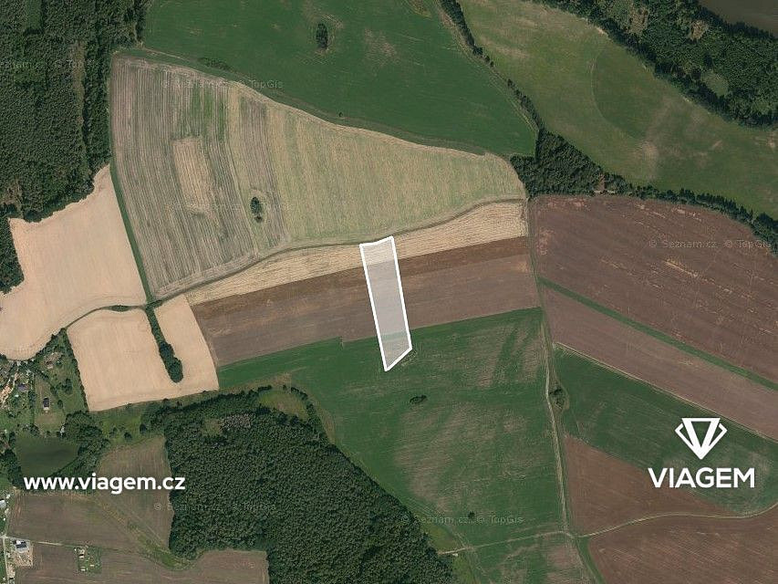 Prodej pole 1 371 m²