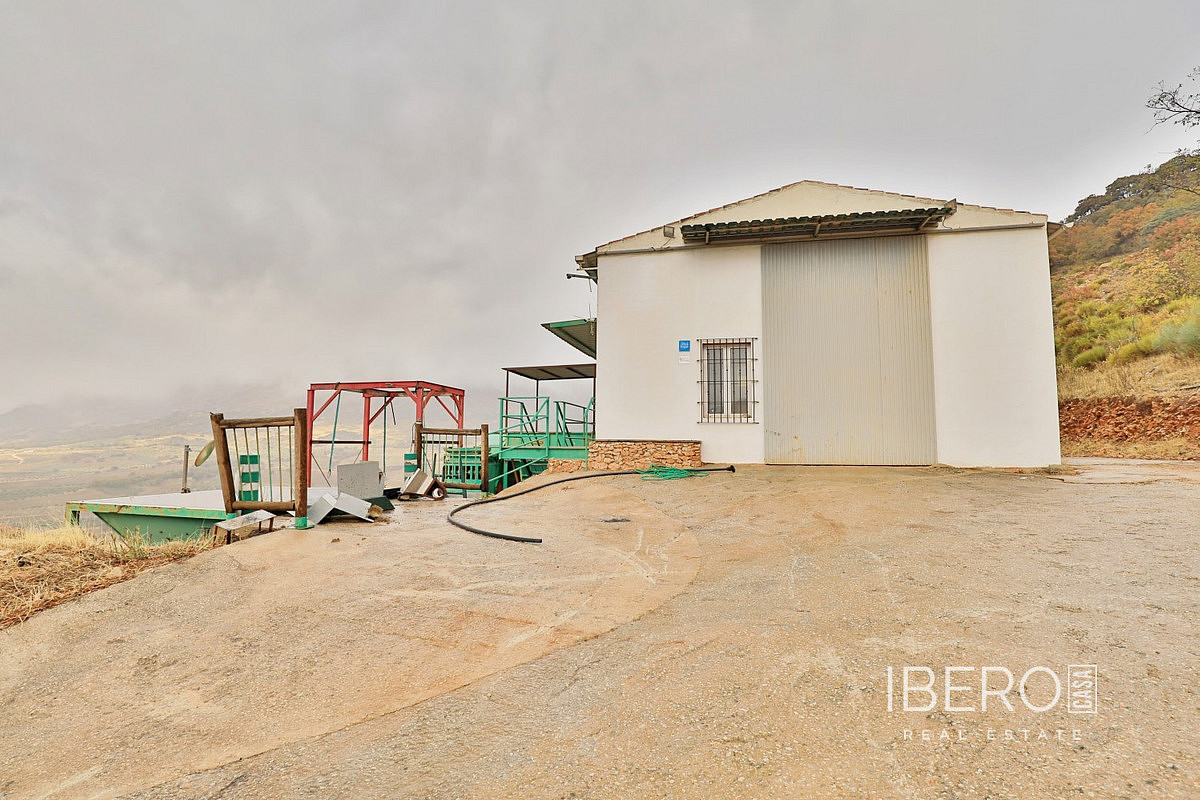 Prodej domu 239 m² s pozemkem 37 000 m² — photo 3