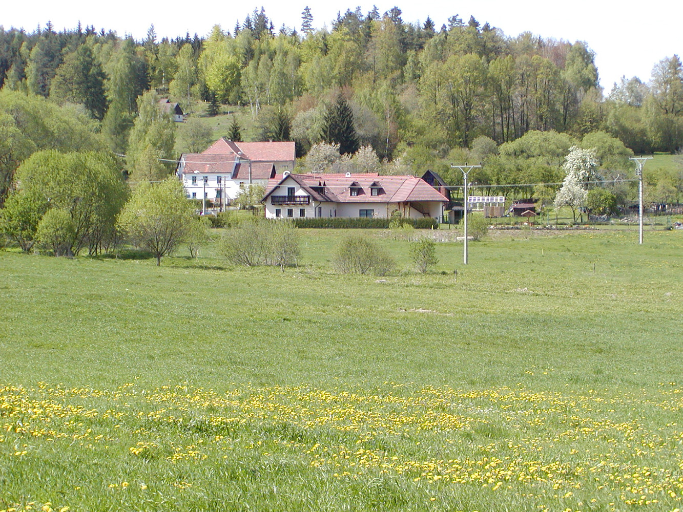 Prodej stavebního pozemku 48 837 m² – fotografie 4