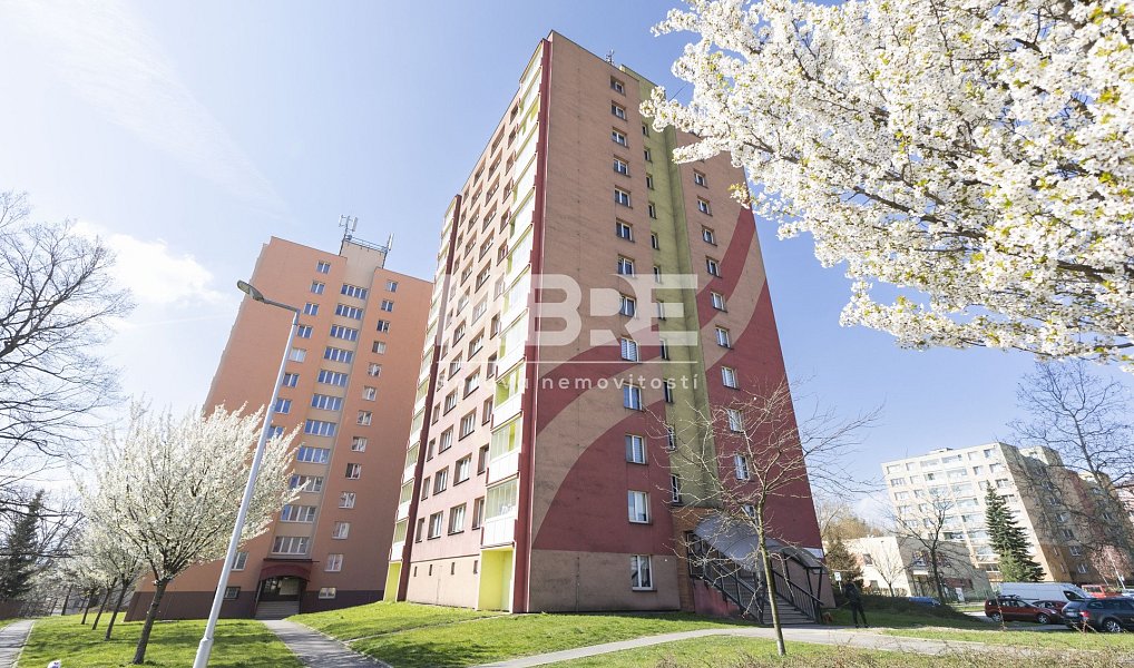 Pronájem bytu 1+kk 32 m², Český Těšín – náhled fotky 8