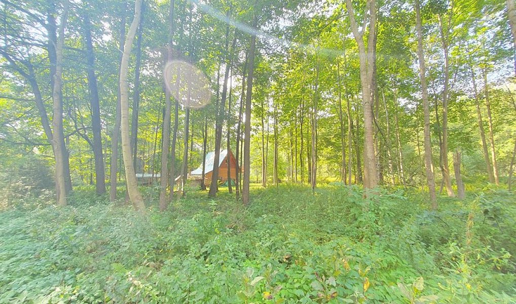 Prodej chaty/chalupy 70 m² s pozemkem 3 502 m², Malá Morávka – náhled fotky 8