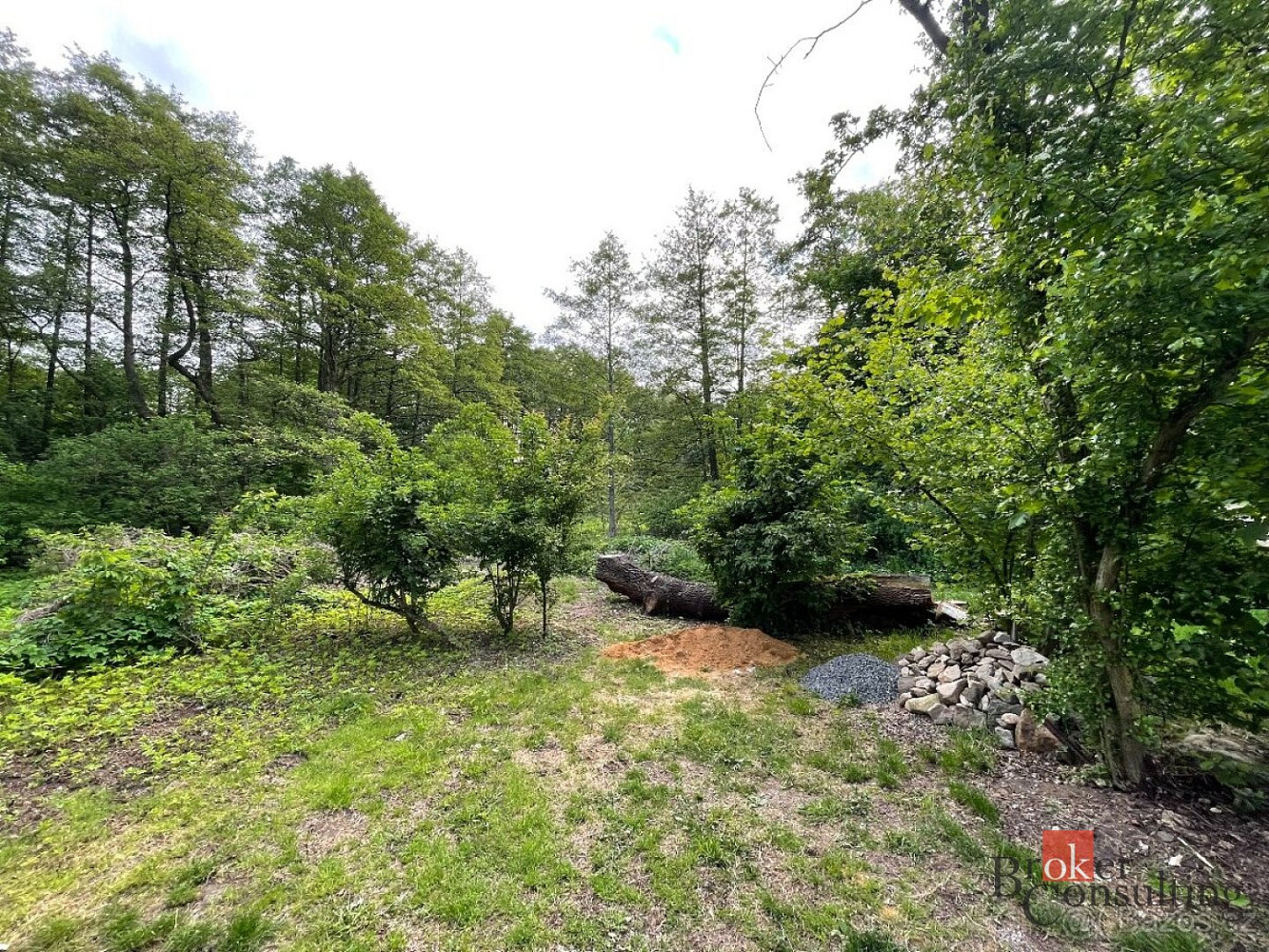 Prodej pozemku 24 584 m² – fotografie 5