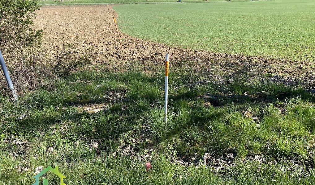 Prodej stavebního pozemku 1 000 m², Mořina – náhled fotky 3