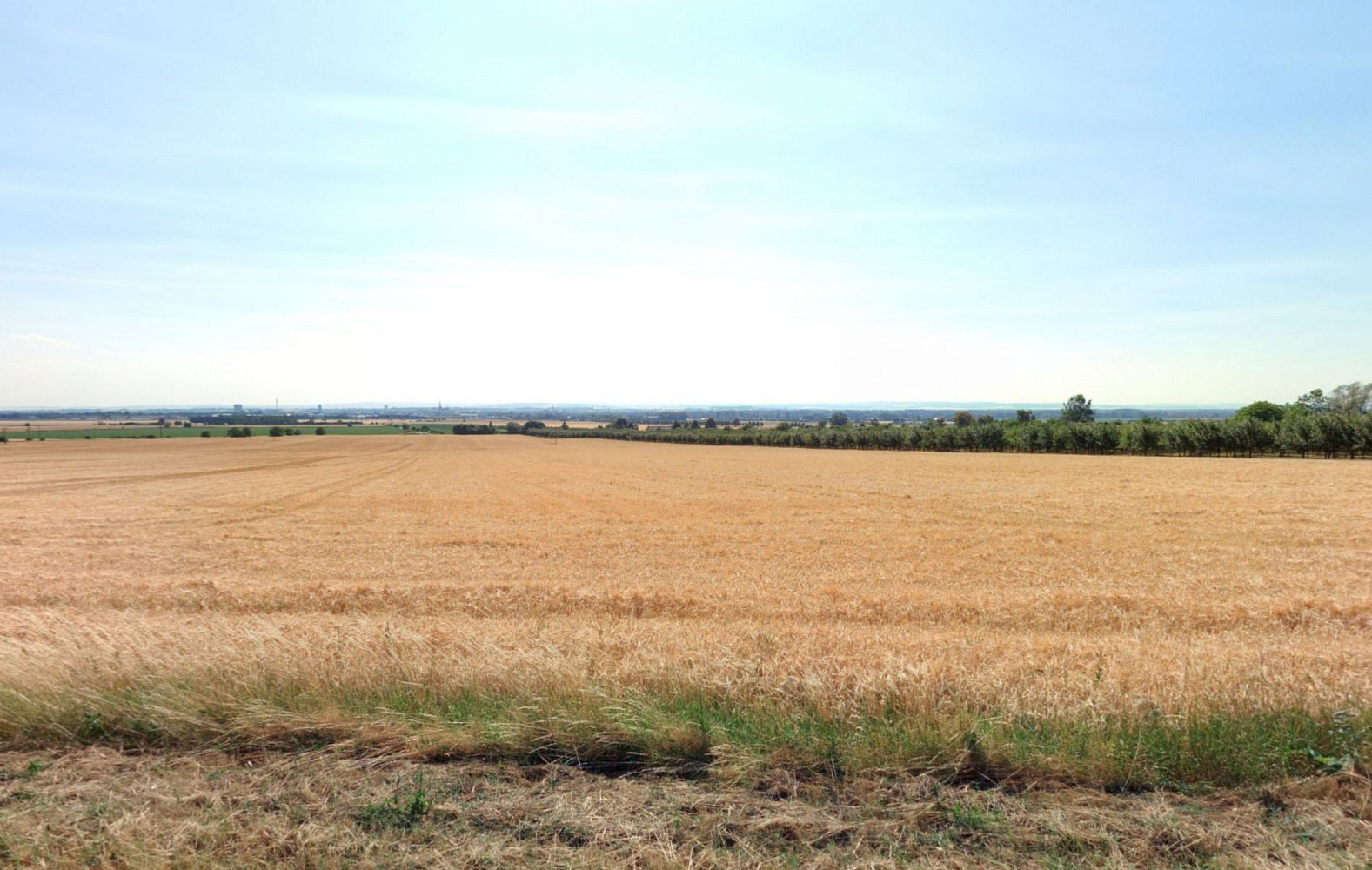 Prodej pole 29 414 m²
