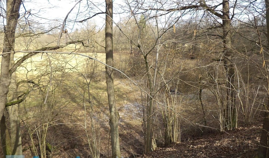 Prodej pozemku 15 643 m², Novosedly nad Nežárkou – náhled fotky 5