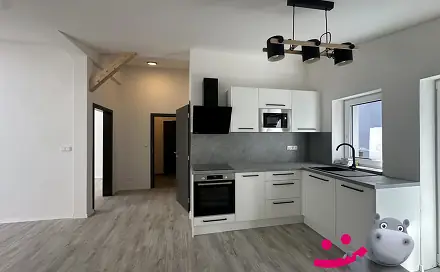 Pronájem bytu 2+kk 55 m²