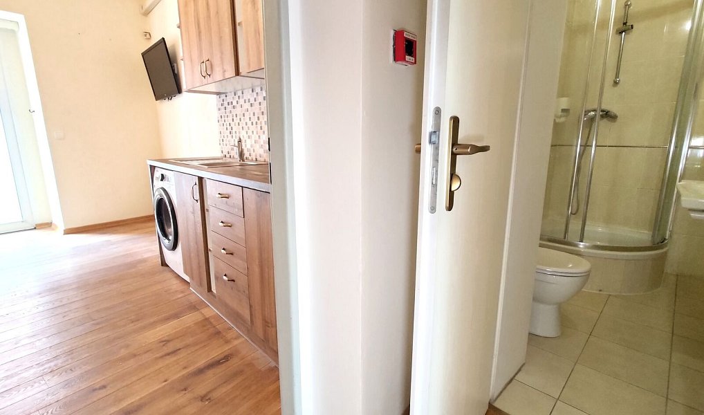 Pronájem bytu 4+kk 110 m², Plzeň – náhled fotky 5