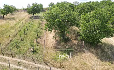 Prodej pole 358 m², Němčičky, okres Břeclav